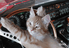 高速為何限速120km/h？測速儀咋測車速？這里告訴你答案